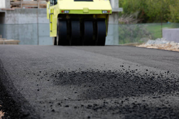 Best Custom Driveway Pavers  in Van Buren, AR